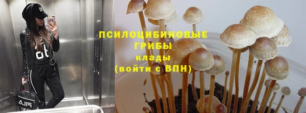 таблы Верея