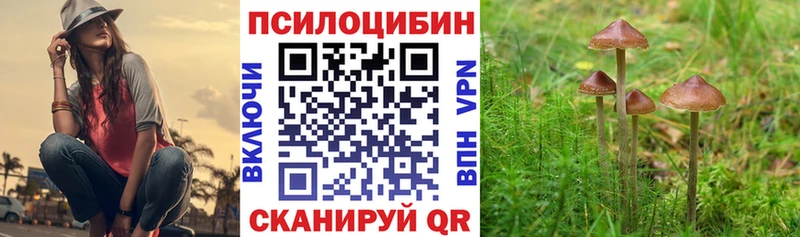 OMG сайт  Братск  Галлюциногенные грибы Magic Shrooms 